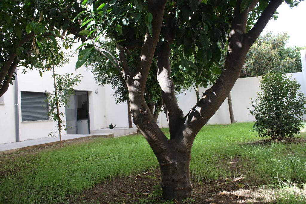 Residencia Mayol - Adults Only Пальма-де-Майорка Номер фото